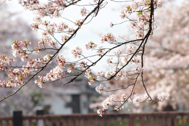 外壁塗装におすすめの季節は3月～5月　9月～11月がおすすめの理由